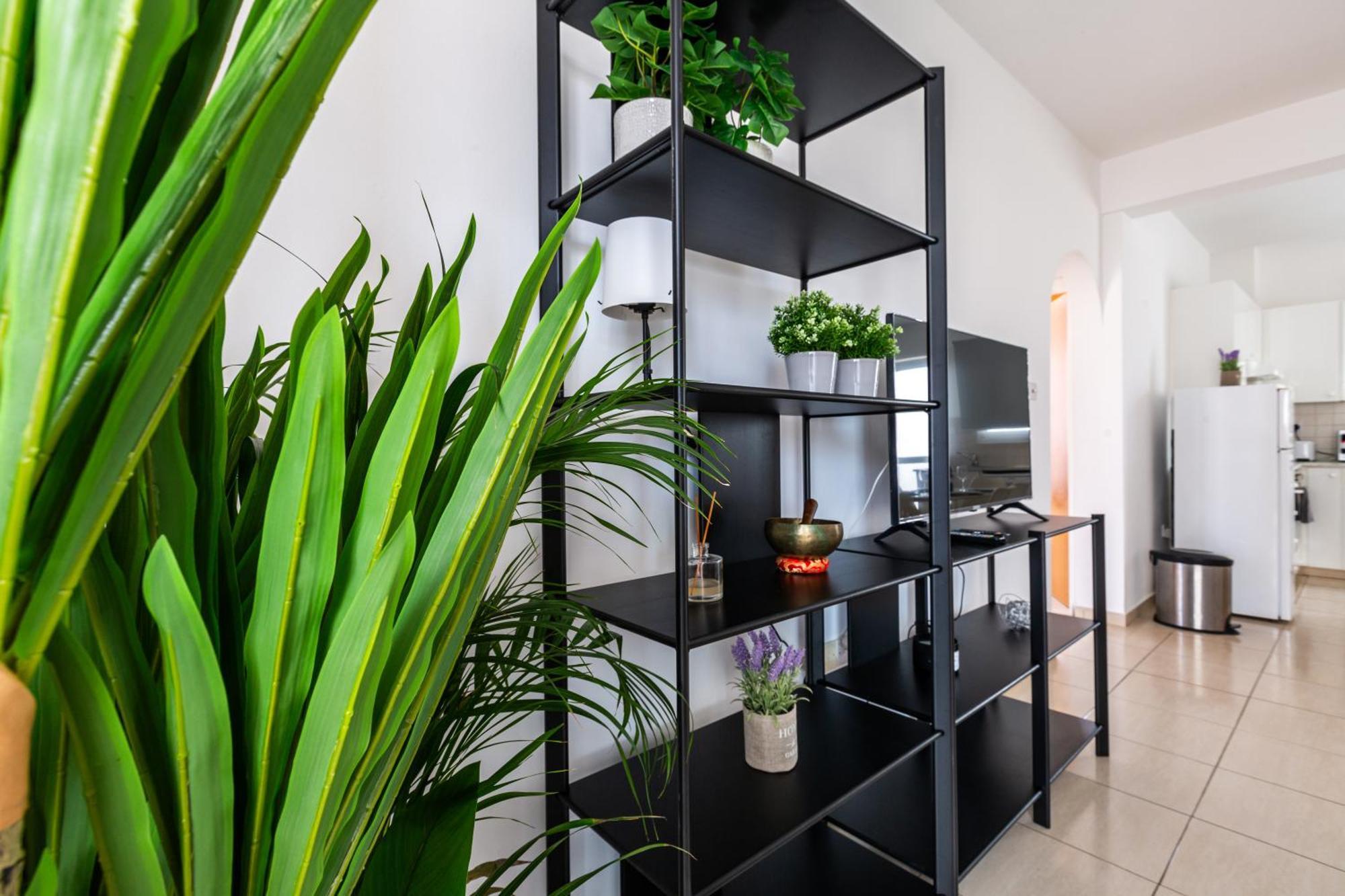 Beautiful 2 Bed Apartment In Paphos Cyprus Exteriör bild